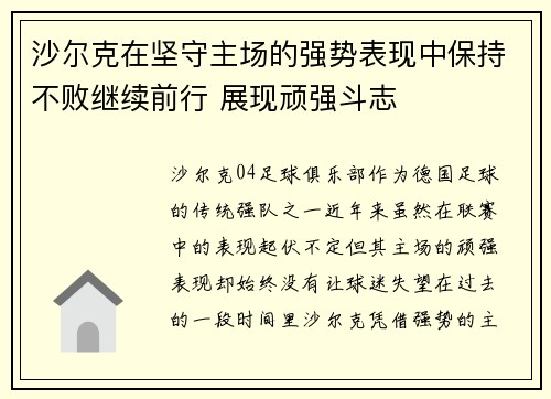 沙尔克在坚守主场的强势表现中保持不败继续前行 展现顽强斗志