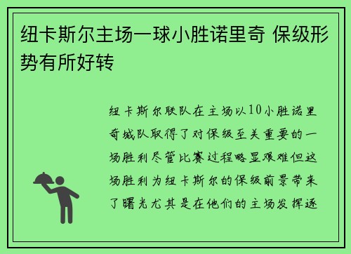 纽卡斯尔主场一球小胜诺里奇 保级形势有所好转